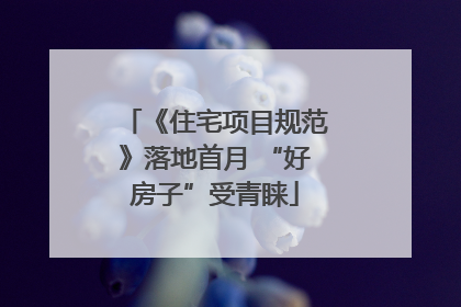 《住宅项目规范》落地首月 “好房子”受青睐