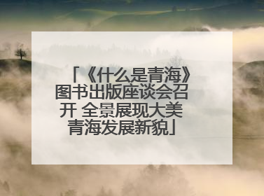 《什么是青海》图书出版座谈会召开 全景展现大美青海发展新貌