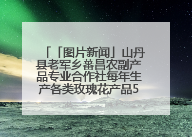 「图片新闻」山丹县老军乡蕃昌农副产品专业合作社每年生产各类玫瑰花产品500多吨