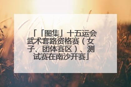 「图集」十五运会武术套路资格赛（女子、团体赛区）、测试赛在南沙开赛