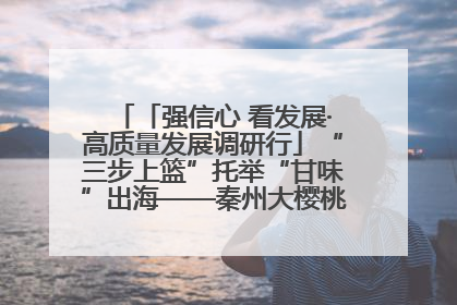 「强信心 看发展·高质量发展调研行」“三步上篮”托举“甘味”出海——秦州大樱桃高质量发展动作分解