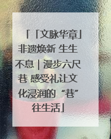 「文脉华章」非遗焕新 生生不息｜漫步六尺巷 感受礼让文化浸润的“巷”往生活
