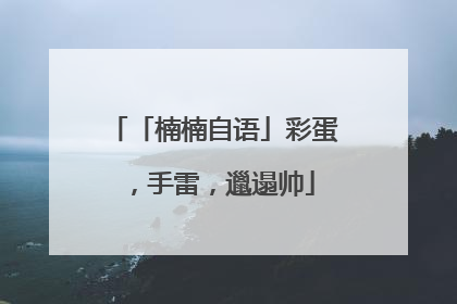 「楠楠自语」彩蛋，手雷，邋遢帅