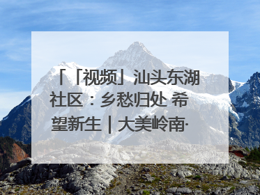 「视频」汕头东湖社区：乡愁归处 希望新生｜大美岭南·百村焕新记