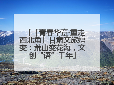 「青春华章·重走西北角」甘肃文旅嬗变：荒山变花海，文创“语”千年