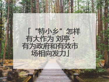 “特小乡”怎样有大作为 刘亭：有为政府和有效市场相向发力
