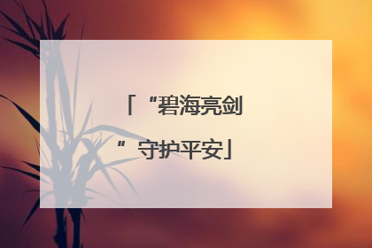 “碧海亮剑”守护平安