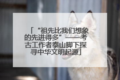 “祖先比我们想象的先进得多”——考古工作者泰山脚下探寻中华文明起源