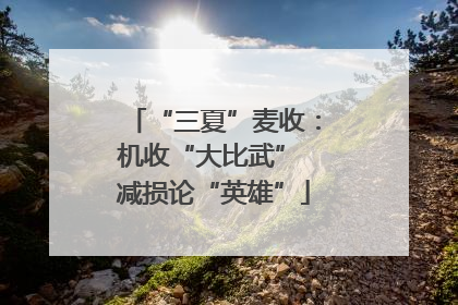 “三夏”麦收：机收“大比武” 减损论“英雄”