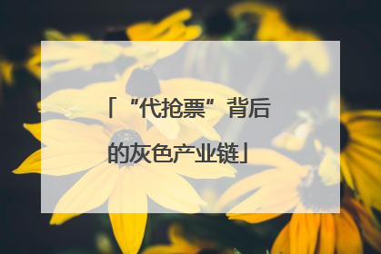 “代抢票”背后的灰色产业链