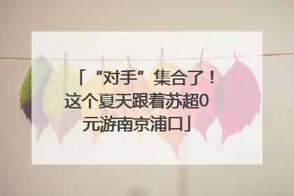 “对手”集合了！这个夏天跟着苏超0元游南京浦口