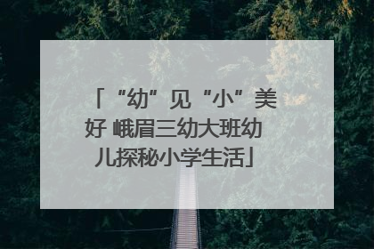 “幼”见“小”美好 峨眉三幼大班幼儿探秘小学生活