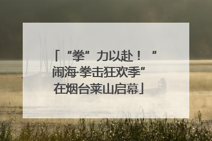 “拳”力以赴！“闹海·拳击狂欢季”在烟台莱山启幕