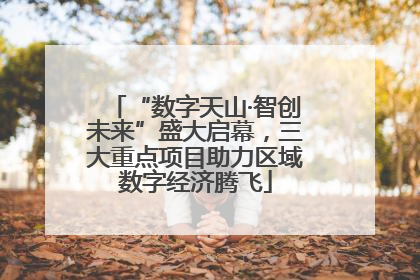 “数字天山·智创未来”盛大启幕，三大重点项目助力区域数字经济腾飞
