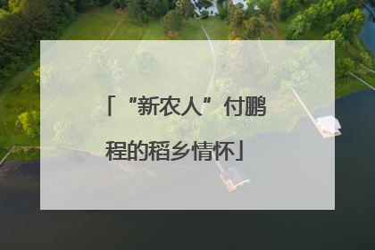 “新农人”付鹏程的稻乡情怀