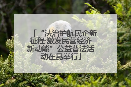 “法治护航民企新征程·激发民营经济新动能”公益普法活动在昆举行