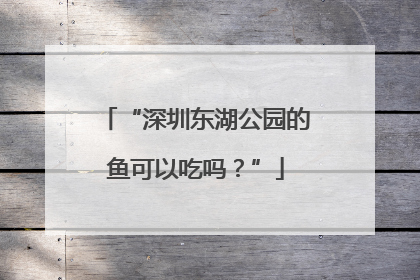 “深圳东湖公园的鱼可以吃吗？”