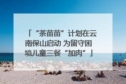 “茶苗苗”计划在云南保山启动 为留守困境儿童三餐“加肉”