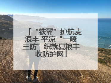 “铁翼”护航麦浪丰 平凉“一喷三防”织就夏粮丰收防护网