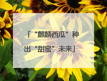 “麒麟西瓜”种出“甜蜜”未来