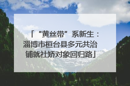 “黄丝带”系新生：淄博市桓台县多元共治铺就社矫对象回归路