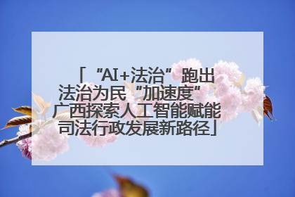 “AI+法治”跑出法治为民“加速度” 广西探索人工智能赋能司法行政发展新路径