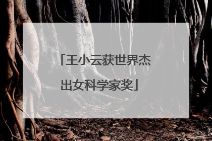 王小云获世界杰出女科学家奖