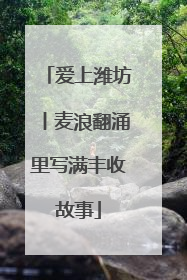 爱上潍坊丨麦浪翻涌里写满丰收故事