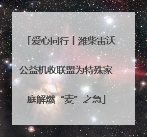 爱心同行丨潍柴雷沃公益机收联盟为特殊家庭解燃“麦”之急