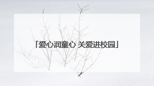 爱心润童心 关爱进校园