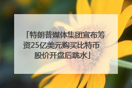 特朗普媒体集团宣布筹资25亿美元购买比特币 股价开盘后跳水