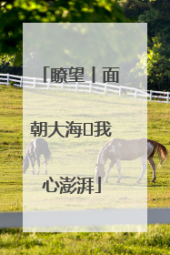 瞭望丨面朝大海 我心澎湃