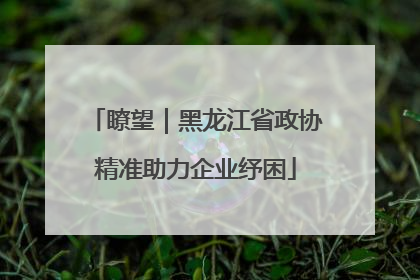 瞭望｜黑龙江省政协精准助力企业纾困