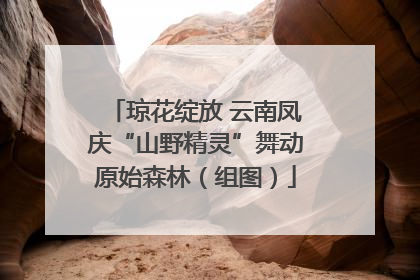 琼花绽放 云南凤庆“山野精灵”舞动原始森林（组图）