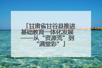 甘肃省甘谷县推进基础教育一体化发展——从“资源荒”到“满堂彩”
