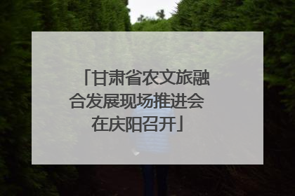 甘肃省农文旅融合发展现场推进会在庆阳召开