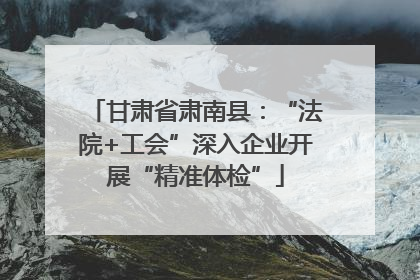 甘肃省肃南县：“法院+工会”深入企业开展“精准体检”