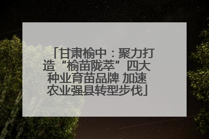 甘肃榆中：聚力打造“榆苗陇萃”四大种业育苗品牌 加速农业强县转型步伐
