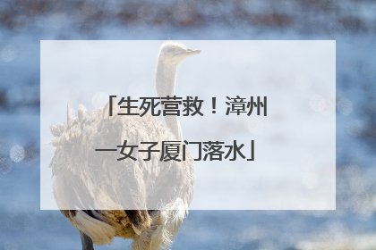 生死营救！漳州一女子厦门落水