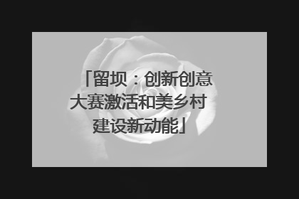 留坝：创新创意大赛激活和美乡村建设新动能