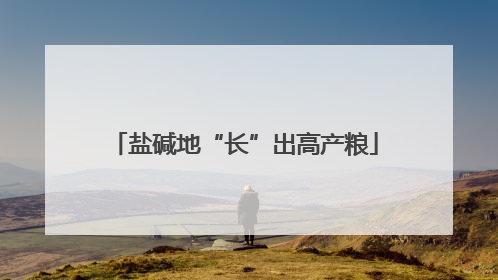 盐碱地“长”出高产粮