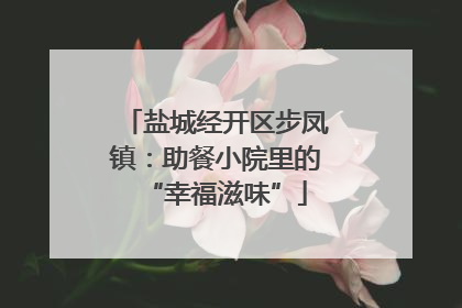 盐城经开区步凤镇：助餐小院里的“幸福滋味”