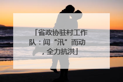 省政协驻村工作队：闻“汛”而动，全力抗洪