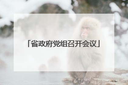 省政府党组召开会议