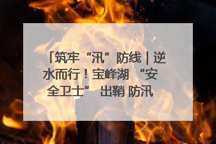 筑牢“汛”防线｜逆水而行！宝峰湖 “安全卫士” 出鞘 防汛应急再添硬核力量