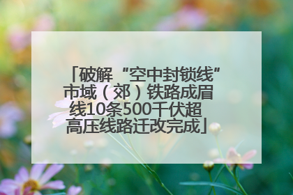破解“空中封锁线” 市域（郊）铁路成眉线10条500千伏超高压线路迁改完成