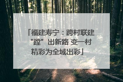 福建寿宁：跨村联建“蹚”出新路 变一村精彩为全域出彩