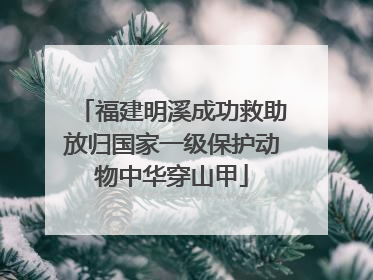 福建明溪成功救助放归国家一级保护动物中华穿山甲