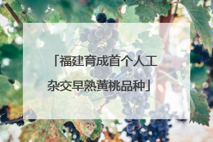 福建育成首个人工杂交早熟黄桃品种