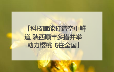 科技赋能打造空中鲜道 陕西顺丰多措并举助力樱桃飞往全国